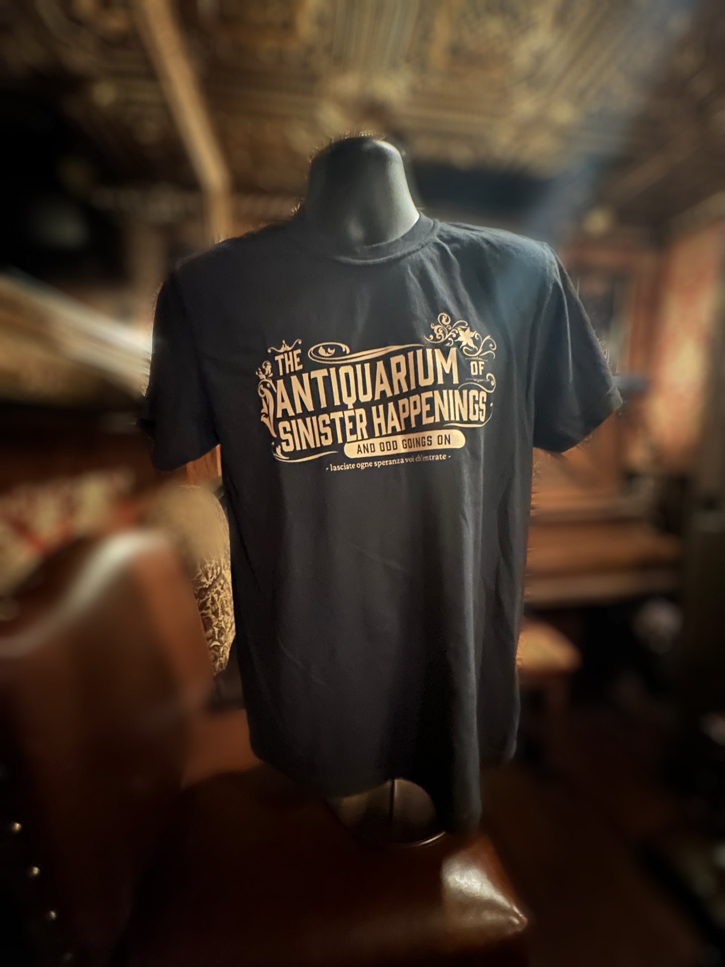 - the antiquarium tee -